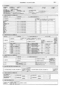 平成29年度現状報告書