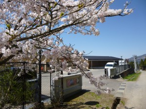 4月ラーメン1