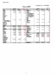 令和2年度 拠点区分貸借対照表